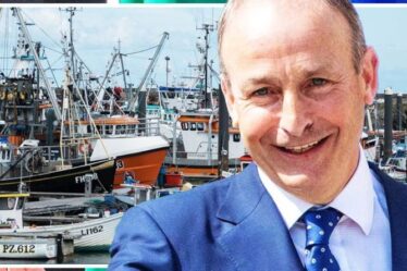 Crise du Brexit alors que l'Irlande est forcée de supplier l'UE d'approuver le renflouement de ses pêcheurs de 8,6 millions de livres sterling