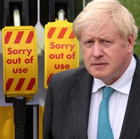Crise du pétrole: Boris exhorté à se préparer pour le CHAOS hivernal alors que la pénurie de carburant devrait se répéter