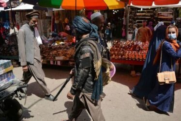 Crise en Afghanistan : l'économie « s'est mise à genoux » alors que la nourriture pourrait s'épuiser d'ici un mois