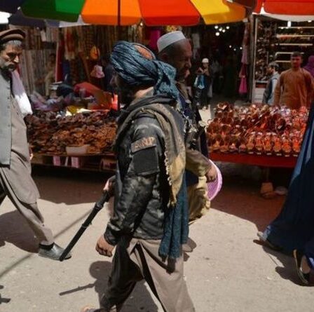 Crise en Afghanistan : l'économie « s'est mise à genoux » alors que la nourriture pourrait s'épuiser d'ici un mois