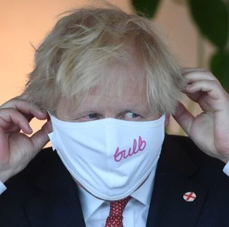 Crise énergétique au Royaume-Uni : le sixième plus grand fournisseur d'électricité Bulb pourrait faire faillite – demande un financement