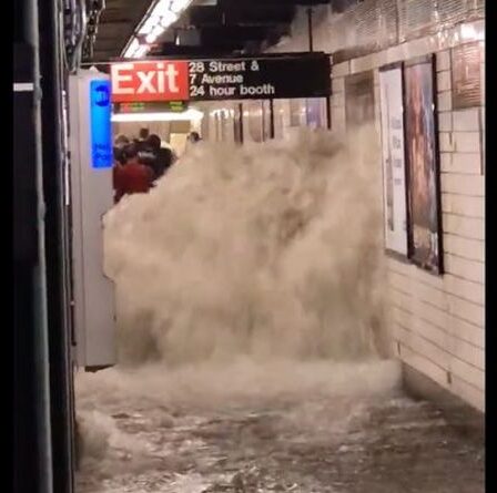 Crue éclair de New York: le maire déclare l'état d'urgence après une "pluie record brutale"