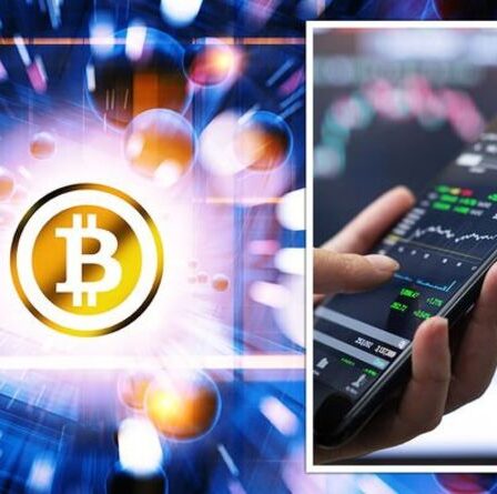 Crypto news: Les CINQ crypto-monnaies à surveiller - experts