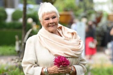 Dame Judi Dench espère que Queen "se promener un peu" après avoir raté le Chelsea Flower Show
