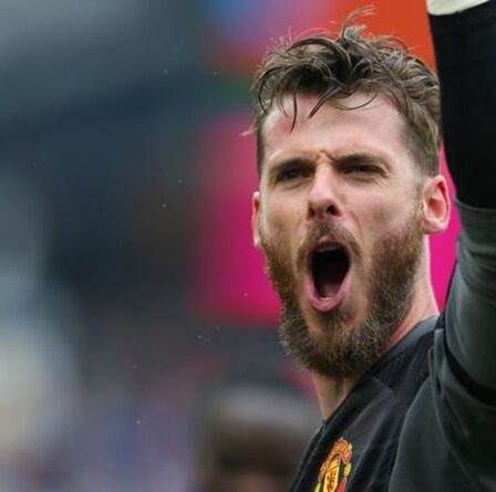 David de Gea nomme deux stars de Man Utd qui peuvent les remporter en Premier League ou en Champions League