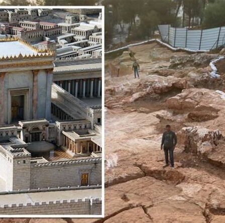 Découverte archéologique : une carrière de la période du Second Temple ouvre une « opportunité en or » pour les experts