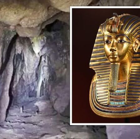 Découverte de Gibraltar : une grotte vieille de 40 000 ans « comme la tombe de Toutankhamon » pour exposer les Néandertaliens