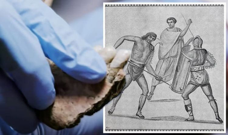 Découverte de l'archéologie à l'origine des gladiateurs romains britanniques