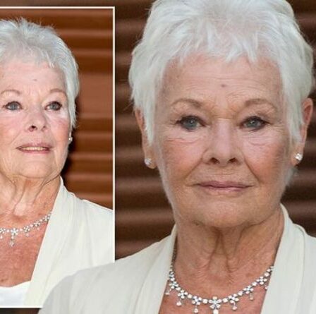 Dernières informations sur la santé de Judi Dench : l'état débilitant des yeux de la star - "Je ne sais pas lire"