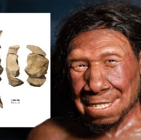 Des archéologues époustouflés par des outils néandertaliens "sophistiqués" datant de 50 000 ans