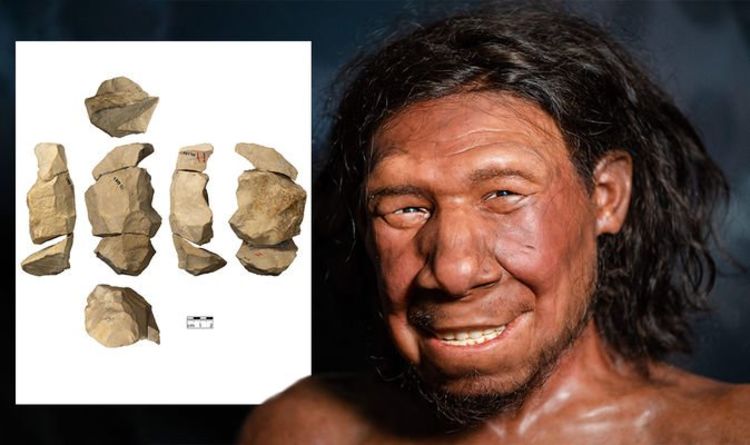 Des archéologues époustouflés par des outils néandertaliens "sophistiqués" datant de 50 000 ans