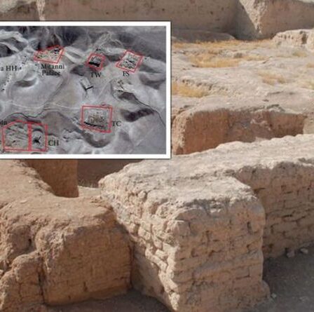 Des archéologues stupéfaits par 10 000 sites antiques « auparavant inconnus » au Moyen-Orient