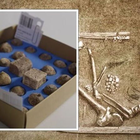 Des archéologues stupéfaits par le contenu de la tombe d'une guerrière viking : « C'est autre chose