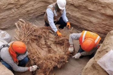 Des ouvriers des canalisations de gaz découvrent les restes de huit personnes enterrées dans une tombe vieille de 800 ans