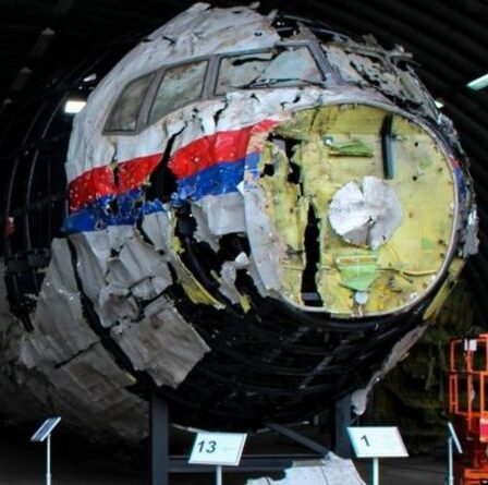 Des proches de 298 victimes du vol MH17 s'expriment lors d'un procès néerlandais - "Mensonges et mensonges"