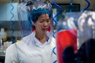 Des scientifiques rejetant la fuite du laboratoire de Wuhan Covid « contaminée politiquement » par des liens avec la Chine