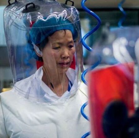 Des scientifiques rejetant la fuite du laboratoire de Wuhan Covid « contaminée politiquement » par des liens avec la Chine