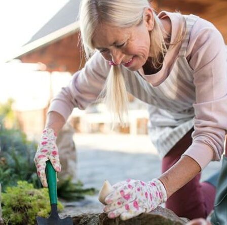 « Difficile de se tromper ! »  Un expert en jardinage partage les plantes « d'entrée de gamme » que vous pouvez cultiver maintenant