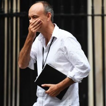 Dominic Cummings dit qu'il « envisage » de créer un compte OnlyFans