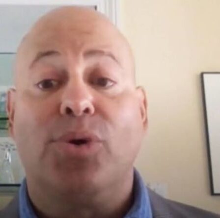 Donald Trump était un "héros méconnu du Royaume-Uni", car la haine de l'UE devrait être un "insigne d'honneur", selon un allié