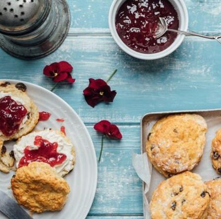 Dorset nommé meilleur endroit pour le thé de l'après-midi - « Scones parmi les meilleurs que nous ayons jamais eu »