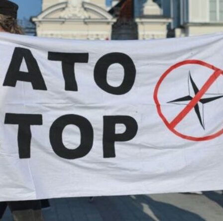 Elections allemandes : comment Die Linke veut se débarrasser de l'OTAN