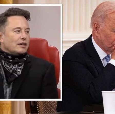 Elon Musk dénonce Biden «somnolent» pour avoir été «contrôlé» en réaction furieuse au snob de Tesla