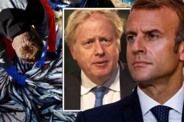 Emballez-le, Macron!  Le Royaume-Uni riposte à la France après la menace du tunnel sous la Manche sur les droits de pêche