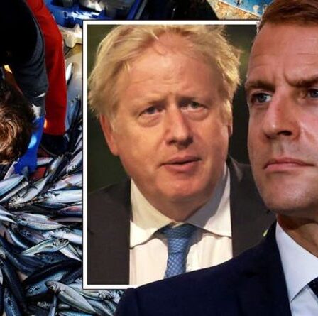 Emballez-le, Macron!  Le Royaume-Uni riposte à la France après la menace du tunnel sous la Manche sur les droits de pêche
