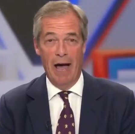 « Emmanuel Macron a l'air ridicule » Nigel Farage se moque de la France « jetant des jouets hors de la poussette »