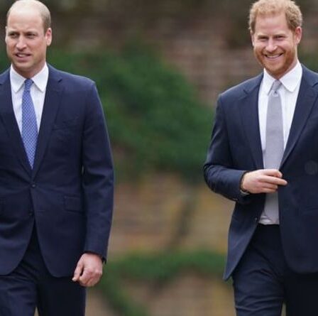 « Envie de participer ! »  Harry et William devraient être réunis lors du prochain événement du Diana Award