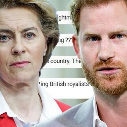 'Équipe de rêve? Plutôt un cauchemar !' Le prince Harry explose alors qu'il fait équipe avec VDL pour un nouveau projet