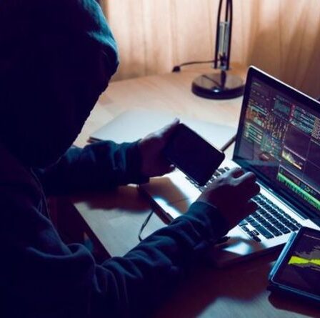 'Est-ce réel?'  Les Britanniques ciblés par l'arnaque par SMS de Royal Mail