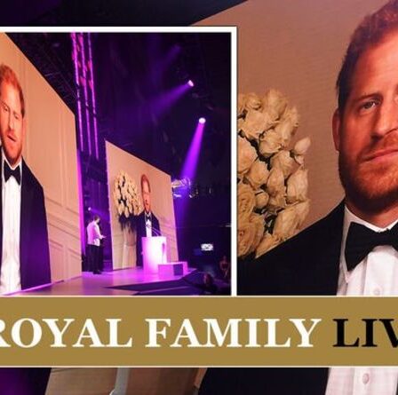 Famille royale EN DIRECT: le prince Harry étonne les fans de Sussex avec une rare apparition au Royaume-Uni