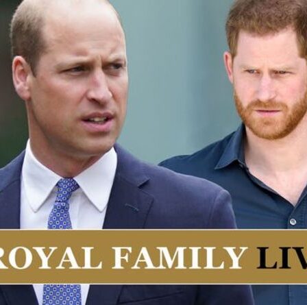 Famille royale EN DIRECT: le prince Harry va « sortir le pistolet » de William alors que la couverture de Time marque « un coup de poignard dans le cœur »