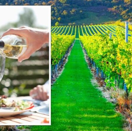 'Fantastique!'  Huit meilleures choses à faire au Royaume-Uni en septembre