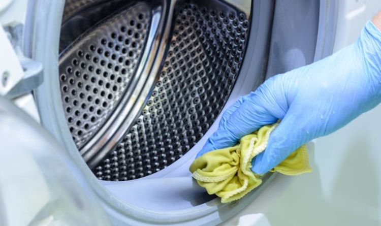 « Fonctionne un régal ! » : les fans de Mme Hinch partagent des conseils « géniaux » pour nettoyer le joint de la machine à laver