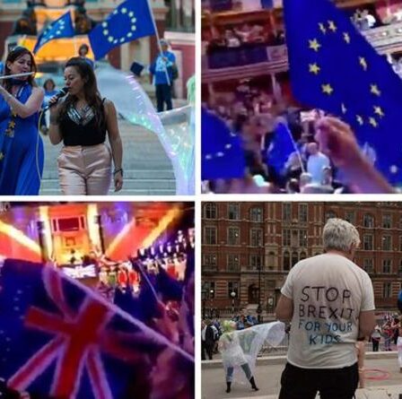 Fureur alors que les ennemis du Brexit détournent les Proms avec des drapeaux de l'UE - "Clueless ne le couvre pas!"