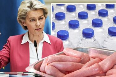Fureur du Brexit: l'UE a averti que le Royaume-Uni pourrait lancer une "guerre de l'eau" pour se venger d'une rangée de saucisses