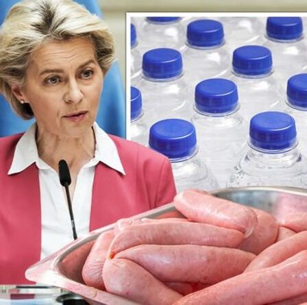 Fureur du Brexit: l'UE a averti que le Royaume-Uni pourrait lancer une "guerre de l'eau" pour se venger d'une rangée de saucisses