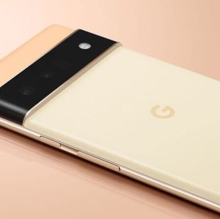 Google vient peut-être de révéler le plus grand secret du Pixel 6