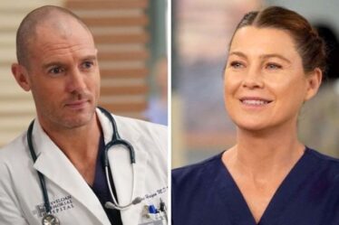 Grey's Anatomy saison 18: EP taquine la romance de Cormac Hayes "Meredith est ouverte"