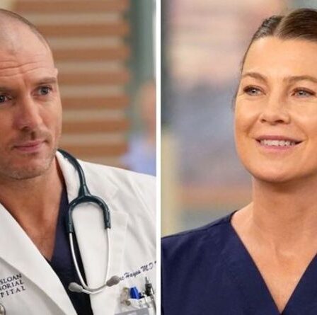 Grey's Anatomy saison 18: EP taquine la romance de Cormac Hayes "Meredith est ouverte"