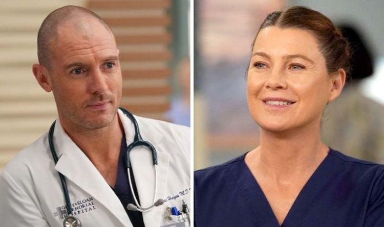 Grey's Anatomy saison 18: EP taquine la romance de Cormac Hayes "Meredith est ouverte"