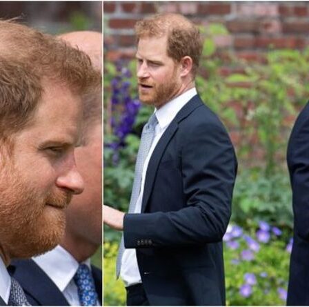 Harry agit comme s'il s'était « élevé au-dessus du rôle de prince » alors qu'il « faisait la leçon au monde »