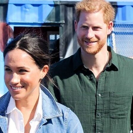 Harry et Meghan « ont leur propre voix maintenant » – Duke donnera un aperçu « plus profond » dans les mémoires