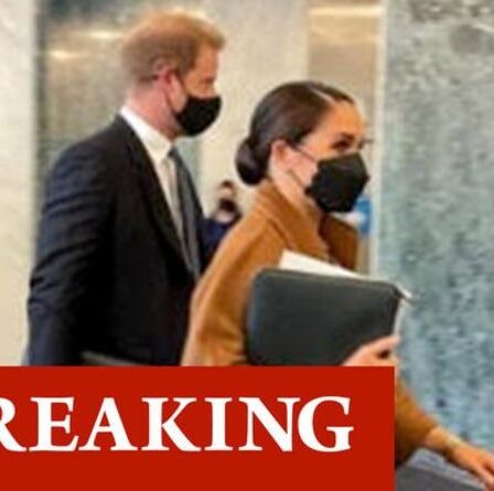 Harry et Meghan rencontrent le secrétaire général de l'ONU avant l'événement de « signalisation virtuelle » de Central Park