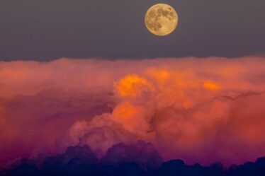 Harvest Moon 2021: Comment regarder la pleine lune d'octobre ce soir – vous devrez régler l'alarme