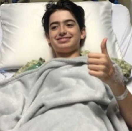 Horreur d'une attaque de requin: un garçon de 15 ans perd des litres de sang après avoir mordu les veaux «en deux»