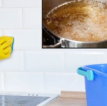 « Idéal pour la graisse » - Les fans de Mme Hinch partagent les meilleurs conseils pour éliminer les éclaboussures d'huile de cuisson sur le mur